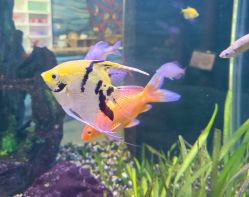 -酷嗒动物文化乐园(cutezoo西溪乐天城店)