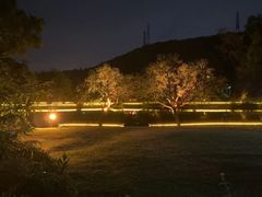 -梧桐庄园