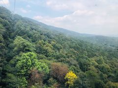 -紫金山山顶公园