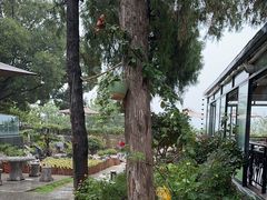 -蘇河湾·新鲁菜·泰山宴(泰山店)