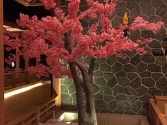 -蓝鲸湾汤泉(包河店)