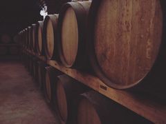 -源石酒庄