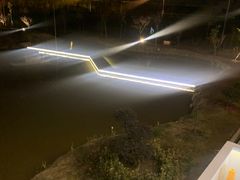 -大队长大灶鹅