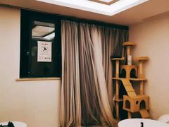 -浣熊柯尔鸭土拨鼠·电玩咖