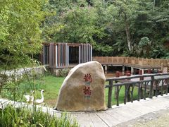 -神光山国家森林公园