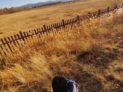 -野鸭湖国家湿地公园