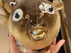 -玄品河豚(那覇國際通里之関)