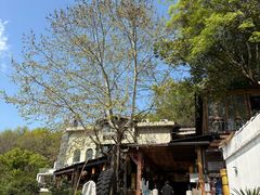 -马灯部落·西湖边的创意山景餐厅(虎跑动物园店)