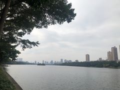 -南宁南湖公园