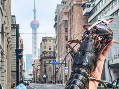 -LESCEDARS Brasserie Bistro香柏树