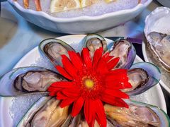 -喜聚薈·花膠雞海鮮火鍋(越秀店)