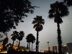 -金沙湖公园