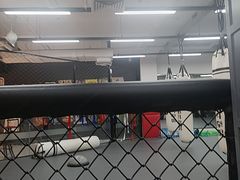 -FC格斗拳馆(东街店)