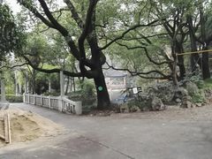 -叶家花园