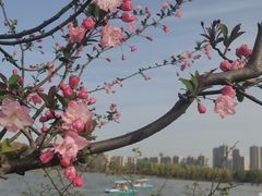 -昆山城市生态森林公园