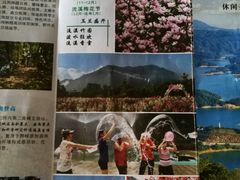 -广州市流溪河国家森林公园