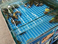 -87号烧烤海鲜·大排档(金沙滩店)