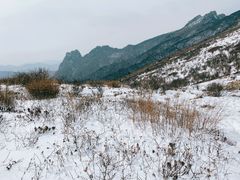 -秦岭风景区