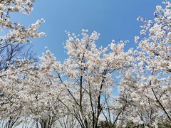 -幕燕滨江·长江观音景区