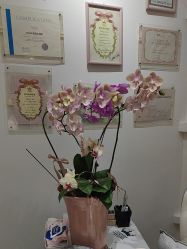 -U3日式美甲美睫