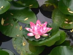 -镇江市南山风景名胜区竹林景区