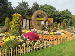 -上海共青森林公园