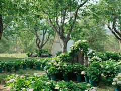 -名花谷生态庄园