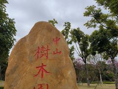 -中山市树木园