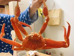 松叶蟹-江杨农产品批发市场