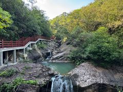 -广州白江湖森林公园