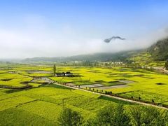 -秦岭风景区