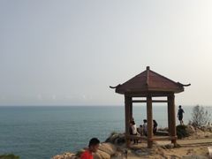 -广东惠东海龟国家级自然保护区