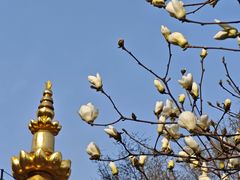 -护国法轮寺