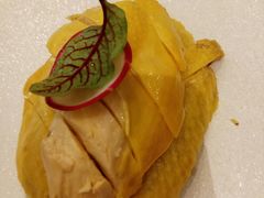 -骏莱海鲜鱼港(五角场店)