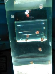 -酷嗒动物文化乐园(cutezoo西溪乐天城店)