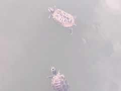 -敬亭山风景名胜区