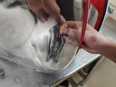 -酷宠动物医院(天通西苑店)