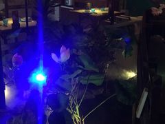 -佬麻雀·新湘菜(珠海金发购物中心店)