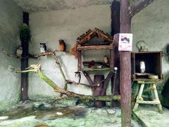 -吉隆坡雀鸟公园
