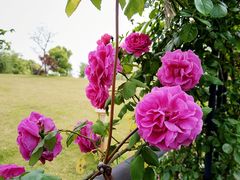 -广富林郊野公园