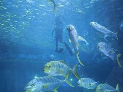 -华夏文旅海洋公园