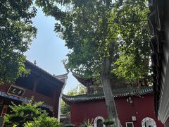 -长春观