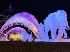 -清迈夜间动物园