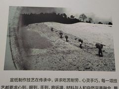 -中国宣纸文化园