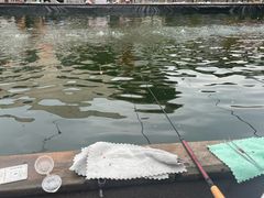 -DGE季风钓虾营地·团建·聚会