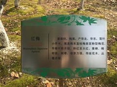 -白塘生态植物园