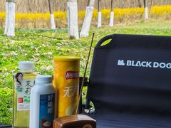 -汉长安城未央宫国家考古遗址公园