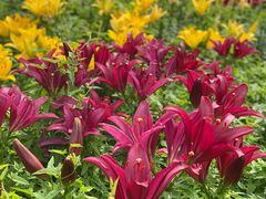 -长春公园(普阳街道)