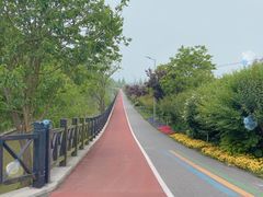 -上海长兴岛郊野公园