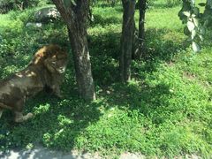 -西安秦岭野生动物园